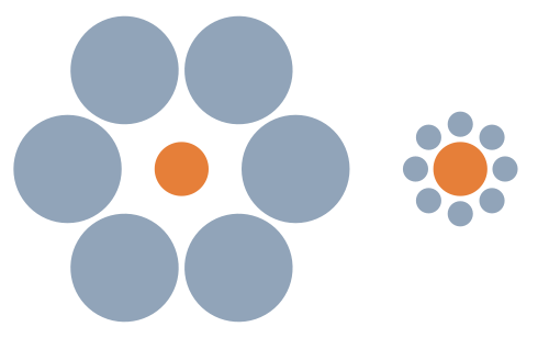 Ebbinghaus Illusion