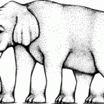 Impossible Elephant