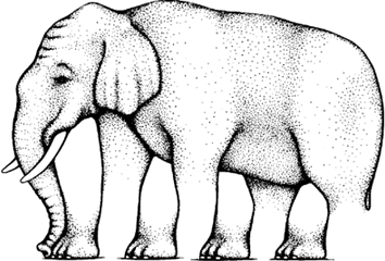 Impossible Elephant