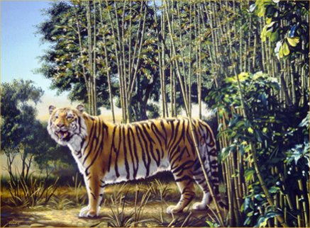 The Hidden Tiger Optical Illusion