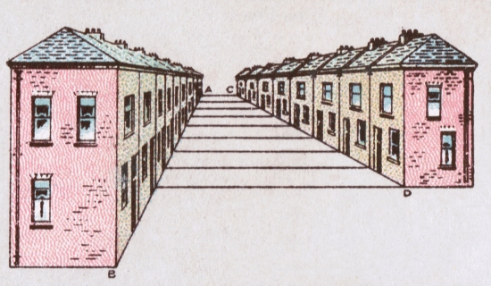 Length of Lines (View of Street) - Estimation Illusion