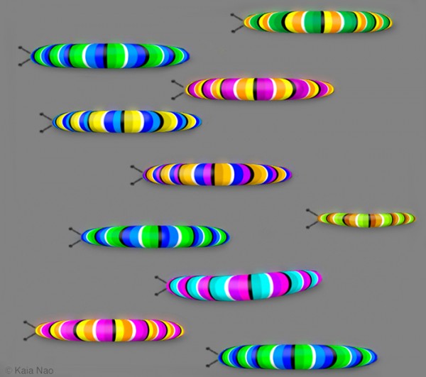 Caterpillar Race Illusion by Kaia Nao