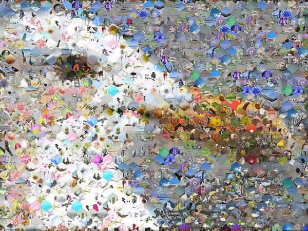 Seagull Photographic Mosaic