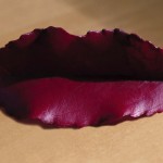 Lip Leaf Ambiguous Photograph by Joe Burull