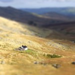 Tilt Shift Photograph #1