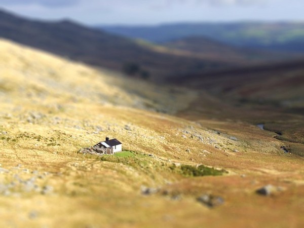 Tilt Shift Photograph #1