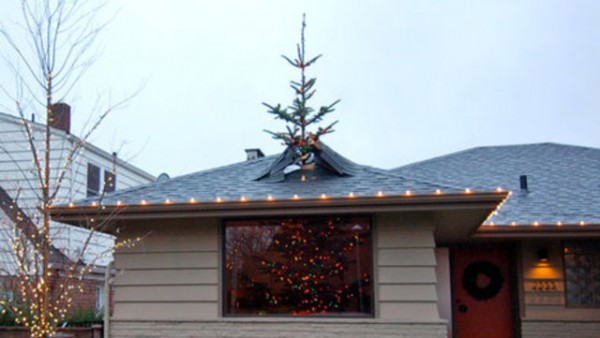 Christmas Tree Optical Illusion