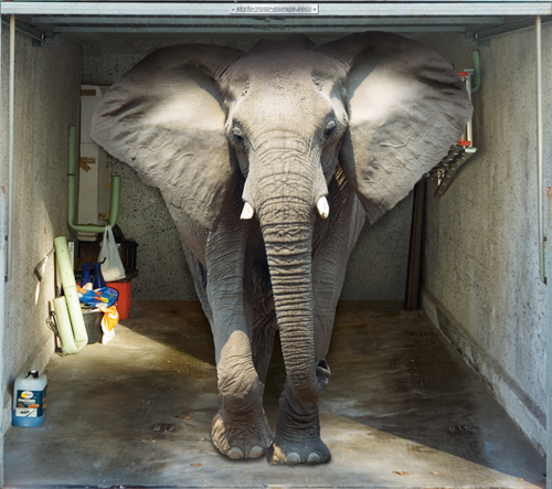 Style Your Garage - Elephant