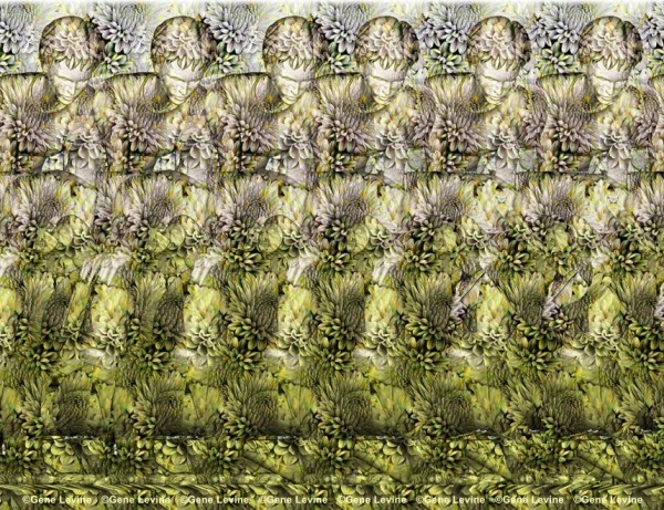 Leapfrog Stereogram by Gene Levine