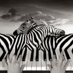 Piano Peace by Thomas Barbey