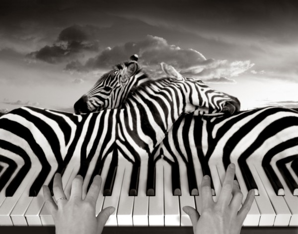 Piano Peace by Thomas Barbey
