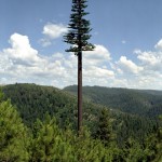 Cell Phone Tower Disguised as Tree