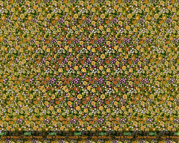 Butterfly Stereogram by Gary Priester
