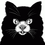 Cat and Mouse Optical Illusion