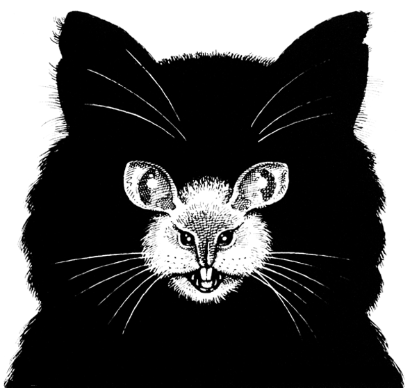 Cat and Mouse Optical Illusion