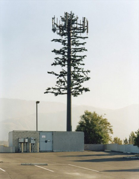 Cell Phone Tower Tree #4