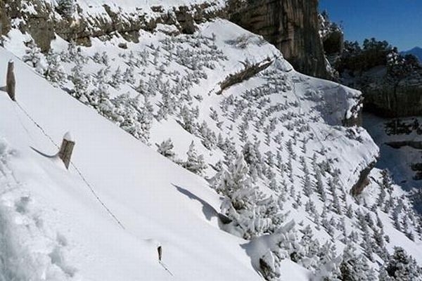 Face in the Snow