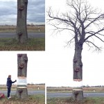 hovering tree illusion