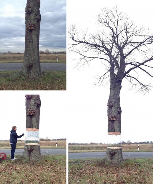 hovering tree illusion