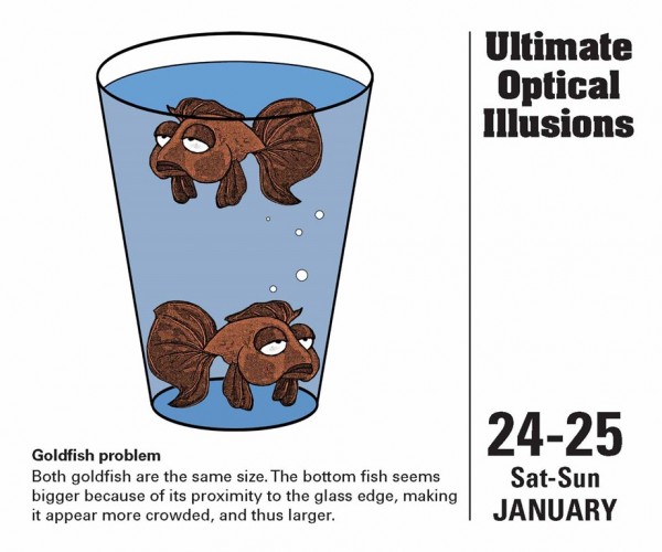 Ultimate Optical Illusions 2015 Calendar - Interior #1