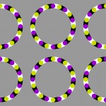 Rotating Grapes by Akiyoshi Kitaoka