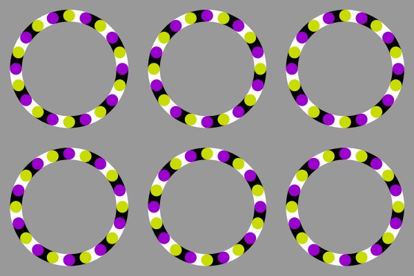 Rotating Grapes by Akiyoshi Kitaoka
