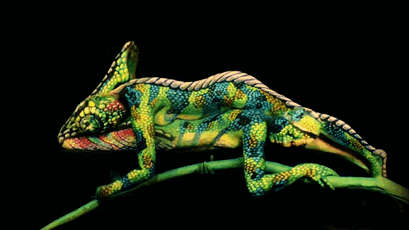 chameleon-body-painting-optical-illusion-johannes-stotter-2
