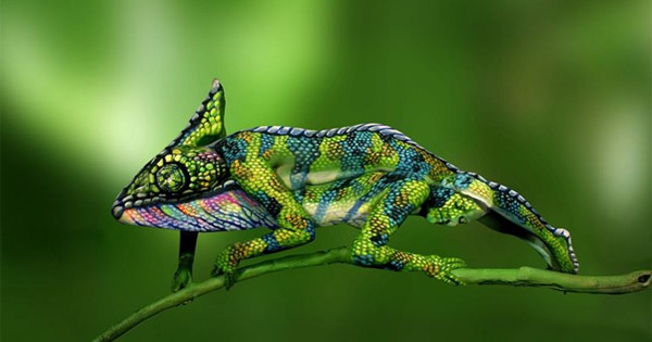 chameleon-body-painting-optical-illusion-johannes-stotter