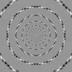 Concentric Circles by Akiyoshi Kitaoka