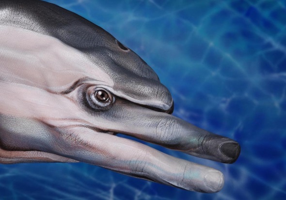 Dolphin by Guido Daniele