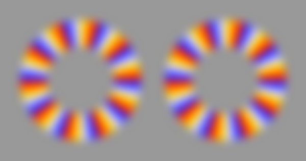 Swimming Rings by Akiyoshi Kitaoka