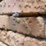 Brick Wall Optical Illusion