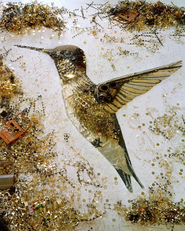 Hummingbird by Vik Muniz