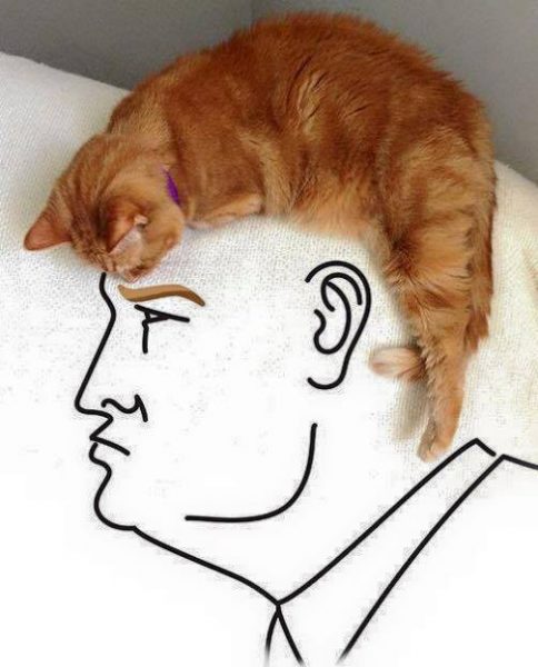 donald-trump-optical-illusion