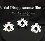 Partial Disappearance Illusion