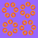 Black Hole Rings by Akiyoshi Kitaoka