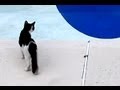 Swimming Pool Illusion by Brusspup