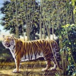 The Hidden Tiger Optical Illusion