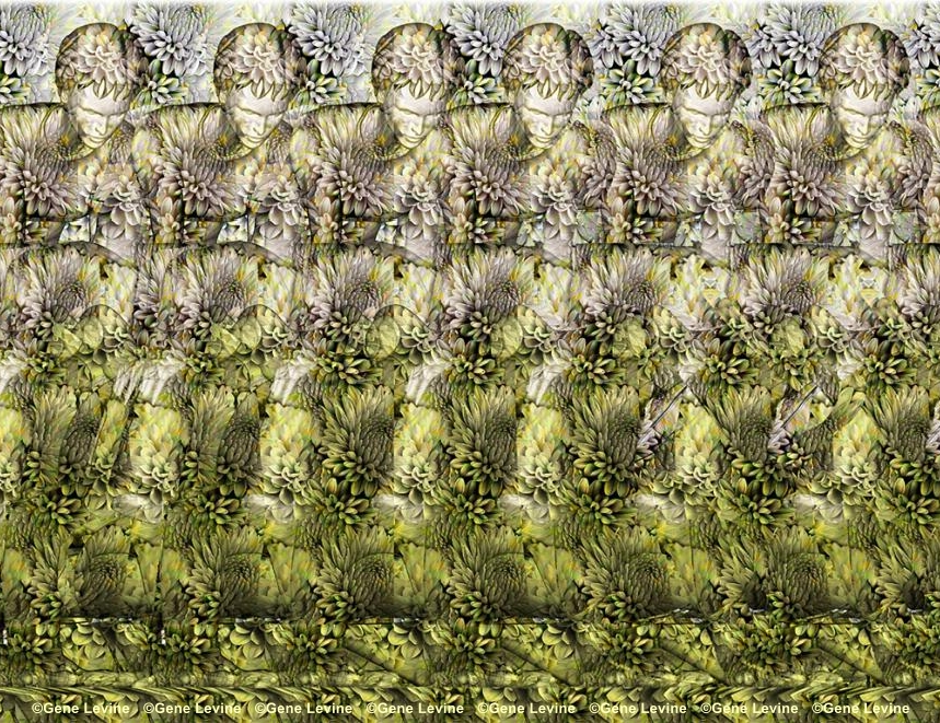 Leapfrog Stereogram by Gene Levine.