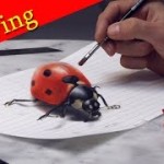 3D Ladybug Painting